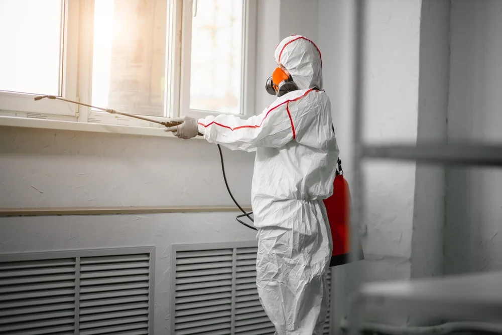 Professional mold remediation services in Morrisonville, WI